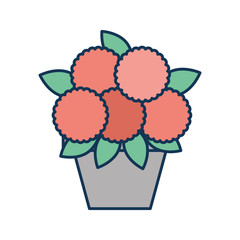 potted flower decoration natural indoor vector illustration