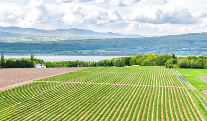 Fototapeta premium Panorama or panoramic aerial view of farmland in Ile D'Orleans, Quebec, Canada, plowed field, furrows, land, farm, house, barn, shed, Saint Lawrence river, hills, mountains and village