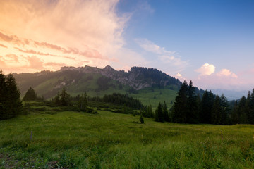 Bavarian Alps with mountain view and meadows in the Allgau