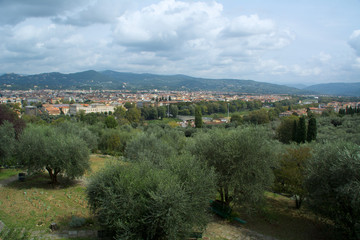 Fototapeta premium panorama of the city of florence, domes of the renaissance