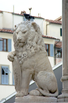 The Marzocco Lion . Piazza della Signoria, Florence, UNESCO World Heritage Site, Tuscany, Italy, Europe 