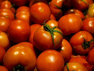 tomatoes