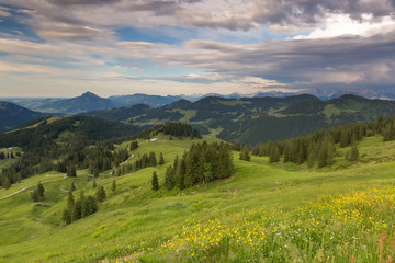 Fototapeta na wymiar Bavarian Alps with mountain view and meadows in the Allgau