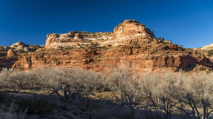 Sandstone Bluffs Above the Escalante River in the Grand Staircase