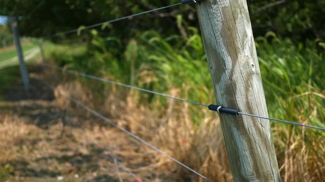A strong cable fence surrounding an apple orchard