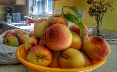 Basket of peaches on counter