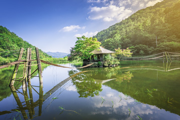 Obraz premium Pavilion and flower in the water.