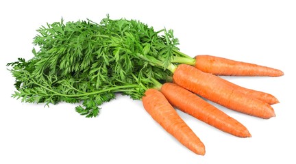 Carrot.