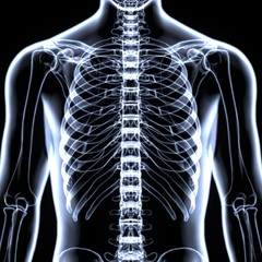 3d illustration  of human spinal card
