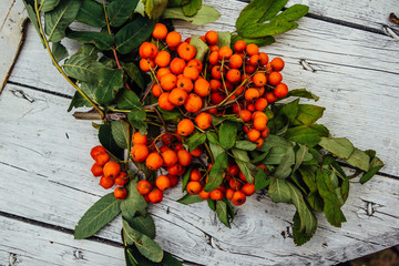 Rowan with green leaves on white wooden table. Top view 