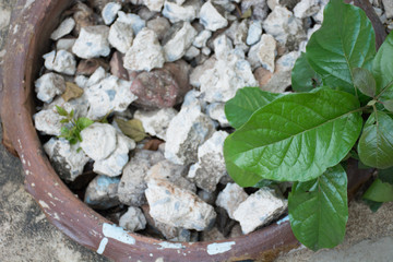 leaf and mortar