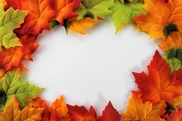 Naklejka na ściany i meble An Image of autumn leaves - background