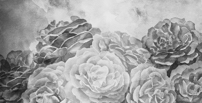 Fototapeta black and white roses in hand painted watercolor background design, romantic mood for wedding announcement or valentines day