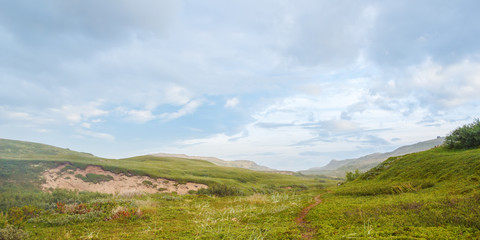 Fototapeta na wymiar A trail along the green valley of the tundra in the north of Russia
