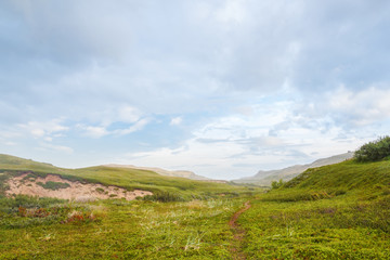 Fototapeta na wymiar A trail along the green valley of the tundra in the north of Russia