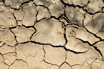 cracked soil texture