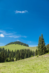 Fototapeta premium Highlands