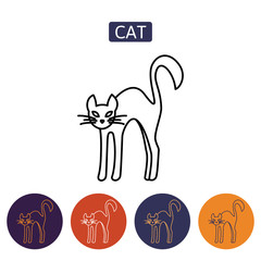 Cat vector icon isolated.