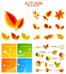 Fototapeta na wymiar Vector orange and yellow autumn seasonal leaves, trees concepts