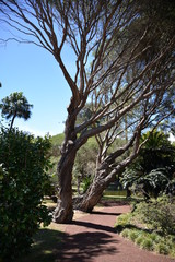 Ponta Delgada (Azoren): Präsidentenpalast mit Parkanlage Sant'Ana