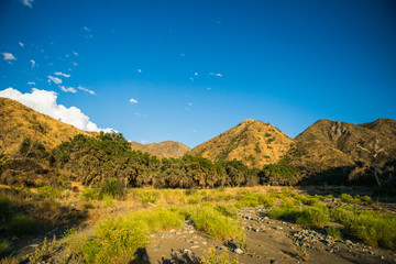 Sun sets on Growth in California Dry Riverbed below hills.