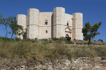 Fototapeta na wymiar Castel del Monte - Andria - panorama generale