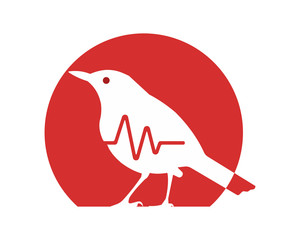 bird parakeet sparrow zoo wildlife fauna animal silhouette