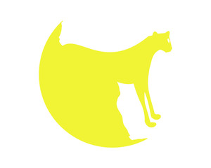 leopard tiger lion cheetah carnivore zoo wildlife fauna animal silhouette