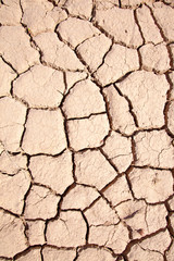 cracked earth