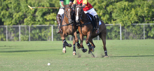 Horse Polo Player battle