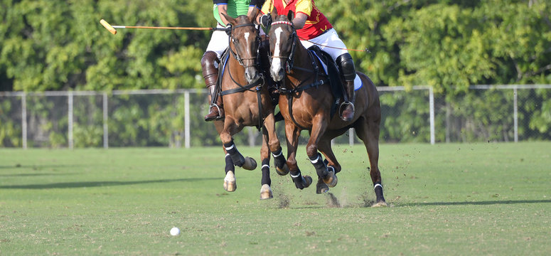 Horse Polo Player battle