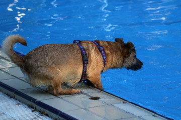 ich trau mich nicht...