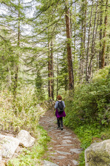 Obraz premium Zermatt, Zmutt, Furi, Wanderweg, Waldweg, Lärchenwald, Wanderer, Alpen, Wallis, Herbst, Herbstwanderung, Schweizer Berge, Schweiz