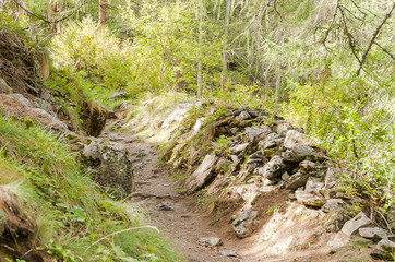 Zermatt, Wanderweg, Furi, Zmutt, zum See, Blatten, Naturweg, Waldweg, Lärchenwald, Wallis, Alpen, Schweizer Berge, Sommer, Schweiz