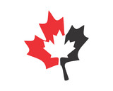 silhouette canada maple leaf icon image vector