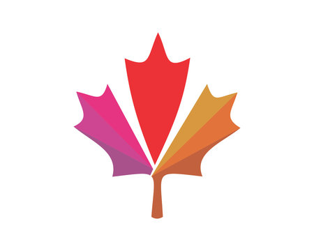 canada maple leaf icon image vector