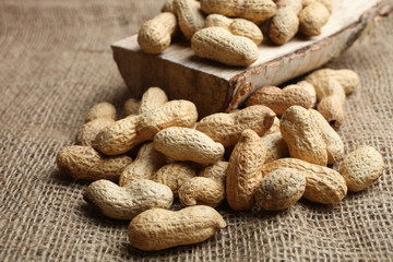 Peanut in the shell