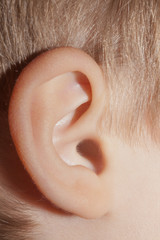Human ear, body parts, anatomy, close-up,