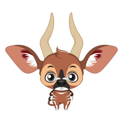 Cute stylized cartoon bongo illustration ( for fun educational purposes, illustrations etc. )