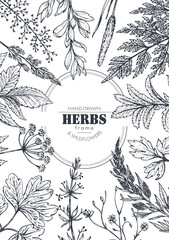 Vector frame with herb and wildflower elements © natality