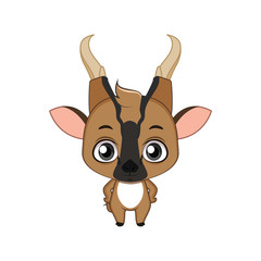 Cute stylized cartoon muntjac illustration ( for fun educational purposes, illustrations etc. )