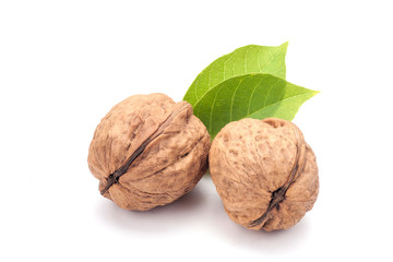 Walnuts with leaves