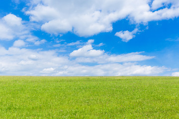 green field and blue sky with light clouds