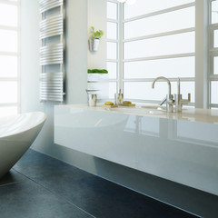 Modern Bathroom Adaptation (focus)