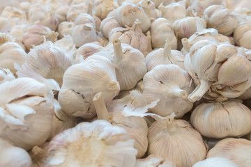 Pile of white garlic at the market.
