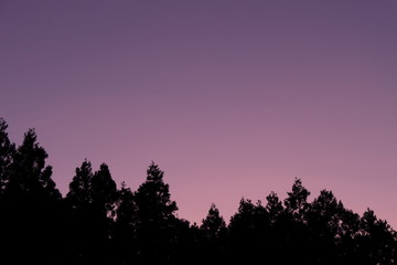 紫色の夕暮れ空