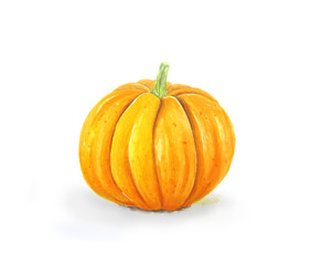 Hand drawn pumpkin Illustration