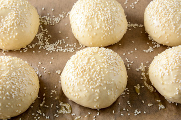 Homemade hamburger rolls, raw dough.