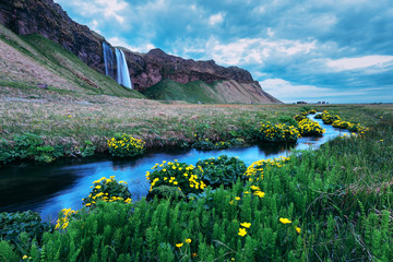 Sunrise on Seljalandfoss waterfall