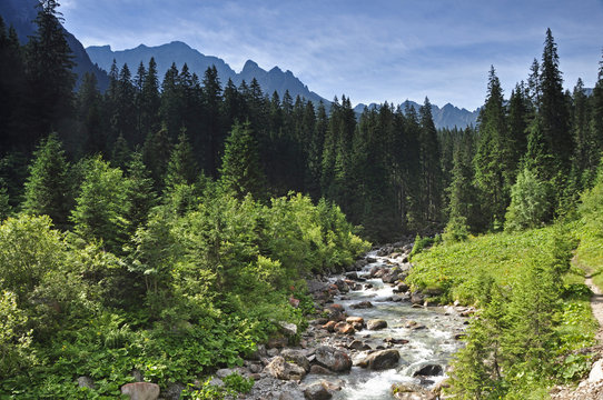 Fototapeta Tatry Dolina Jaworowa Jaworowy potok